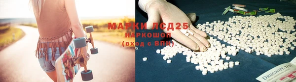 стафф Касимов