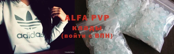 стафф Касимов