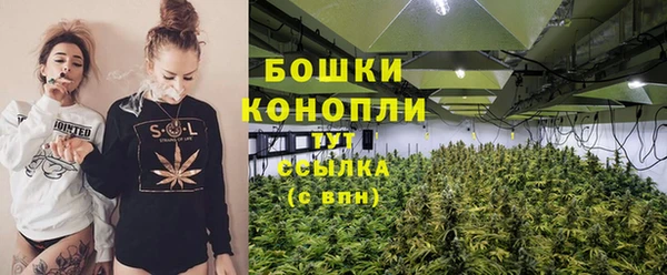 стафф Касимов