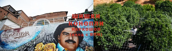 стафф Касимов
