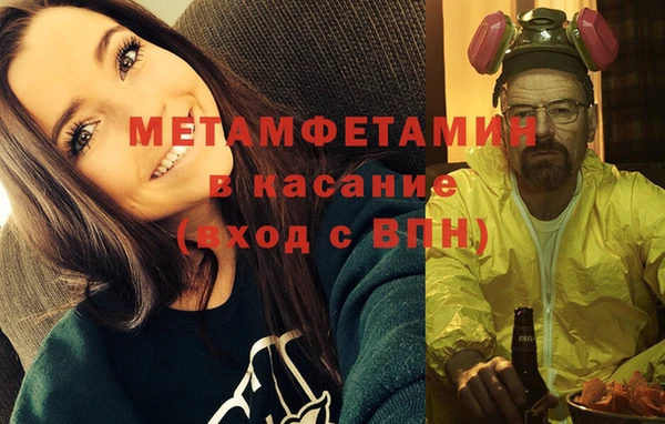стафф Касимов
