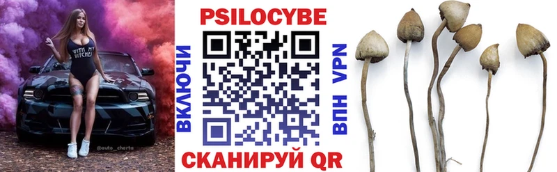 Псилоцибиновые грибы мухоморы  Купить закладки  Дедовск 
